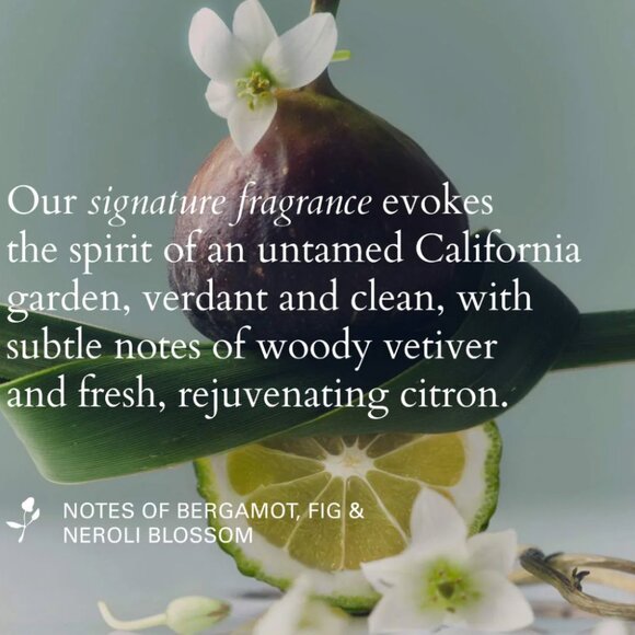 ROZ AIR thickening spray NIB - Picture 7 of 9